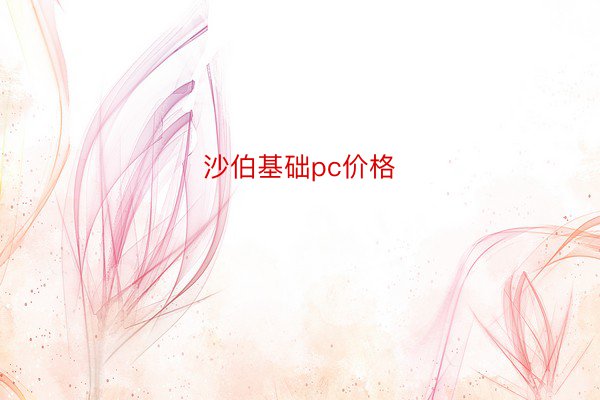 沙伯基础pc价格